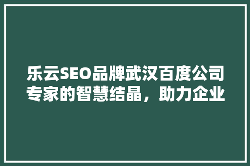 乐云SEO品牌武汉百度公司专家的智慧结晶，助力企业互联网营销腾飞