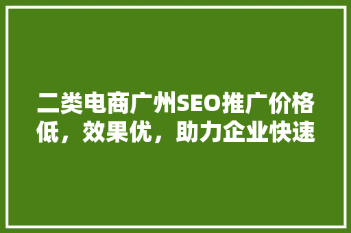 二类电商广州SEO推广价格低，效果优，助力企业快速崛起