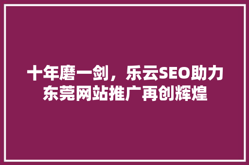 十年磨一剑，乐云SEO助力东莞网站推广再创辉煌
