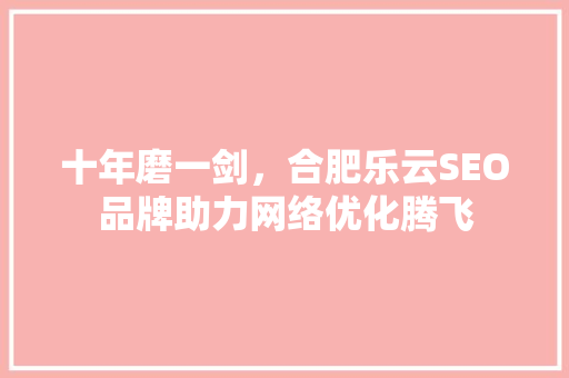 十年磨一剑，合肥乐云SEO品牌助力网络优化腾飞
