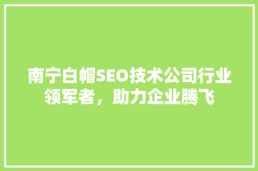 南宁白帽SEO技术公司行业领军者，助力企业腾飞