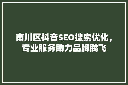 南川区抖音SEO搜索优化，专业服务助力品牌腾飞