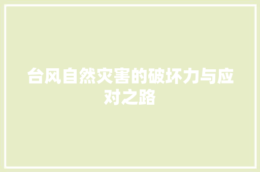 台风自然灾害的破坏力与应对之路
