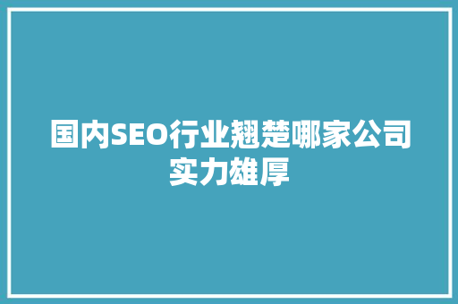 国内SEO行业翘楚哪家公司实力雄厚