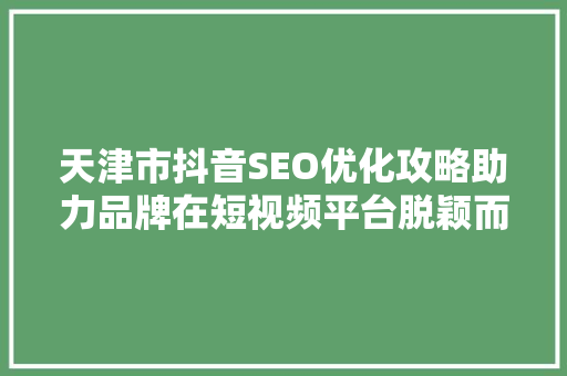 天津市抖音SEO优化攻略助力品牌在短视频平台脱颖而出