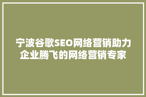 宁波谷歌SEO网络营销助力企业腾飞的网络营销专家