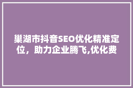 巢湖市抖音SEO优化精准定位，助力企业腾飞,优化费用及步骤