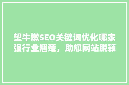 望牛墩SEO关键词优化哪家强行业翘楚，助您网站脱颖而出