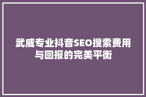 武威专业抖音SEO搜索费用与回报的完美平衡