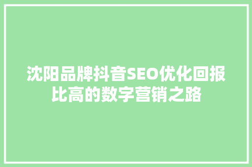 沈阳品牌抖音SEO优化回报比高的数字营销之路