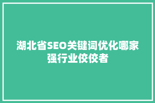 湖北省SEO关键词优化哪家强行业佼佼者