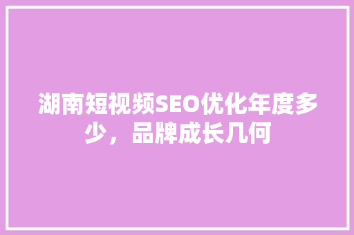 湖南短视频SEO优化年度多少，品牌成长几何