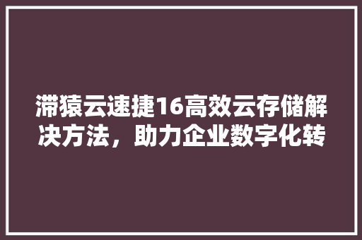 滞猿云速捷16高效云存储解决方法，助力企业数字化转型  第1张