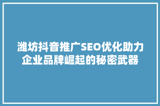 潍坊抖音推广SEO优化助力企业品牌崛起的秘密武器