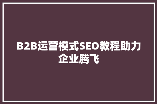 B2B运营模式SEO教程助力企业腾飞
