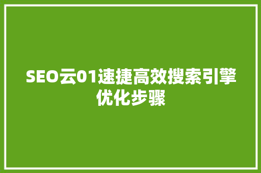 SEO云01速捷高效搜索引擎优化步骤