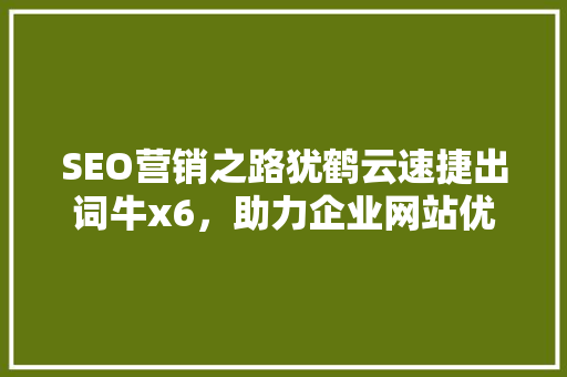 SEO营销之路犹鹤云速捷出词牛x6，助力企业网站优化