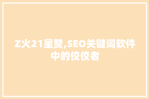 Z火21星赞,SEO关键词软件中的佼佼者
