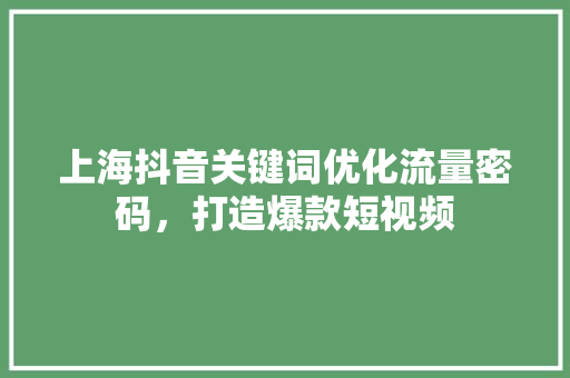 上海抖音关键词优化流量密码，打造爆款短视频