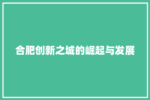 合肥创新之城的崛起与发展