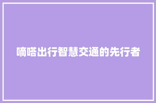 嘀嗒出行智慧交通的先行者