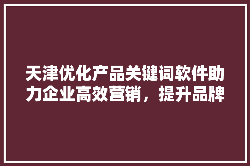 天津优化产品关键词软件助力企业高效营销，提升品牌竞争力