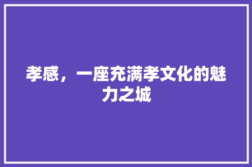 孝感，一座充满孝文化的魅力之城