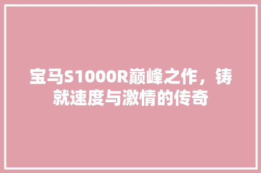 宝马S1000R巅峰之作，铸就速度与激情的传奇