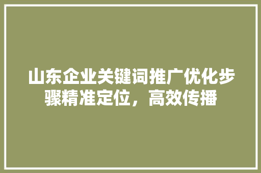 山东企业关键词推广优化步骤精准定位，高效传播