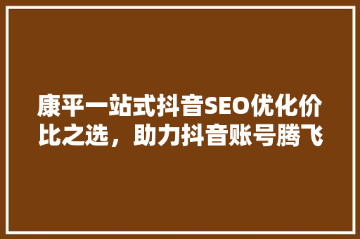 康平一站式抖音SEO优化价比之选，助力抖音账号腾飞