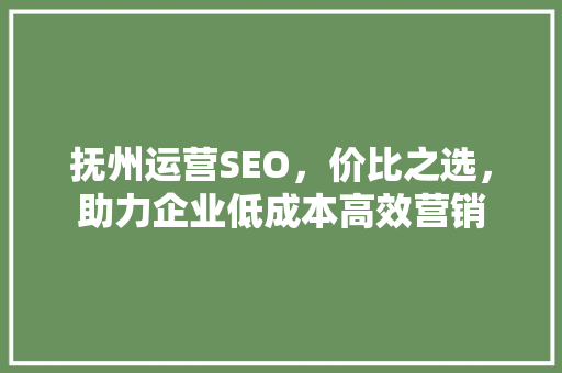 抚州运营SEO，价比之选，助力企业低成本高效营销