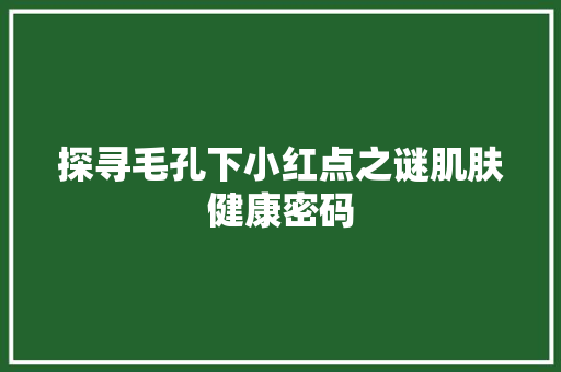 探寻毛孔下小红点之谜肌肤健康密码