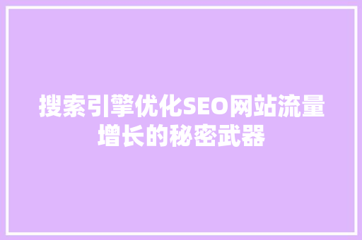 搜索引擎优化SEO网站流量增长的秘密武器  第1张