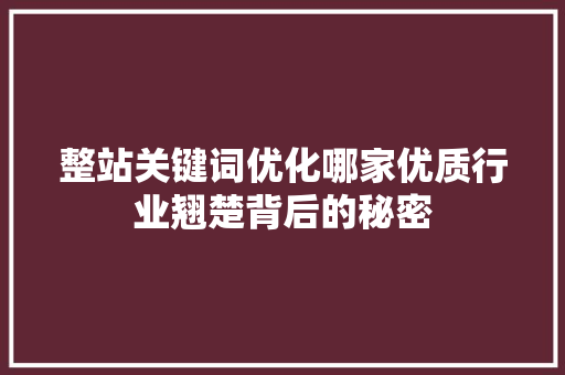 整站关键词优化哪家优质行业翘楚背后的秘密