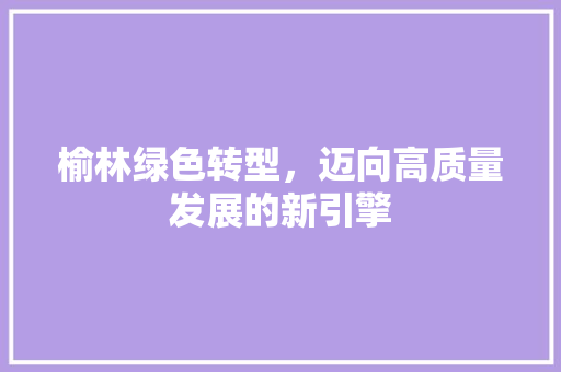 榆林绿色转型，迈向高质量发展的新引擎