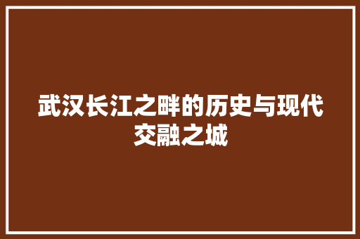 武汉长江之畔的历史与现代交融之城