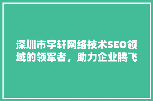 深圳市宇轩网络技术SEO领域的领军者，助力企业腾飞
