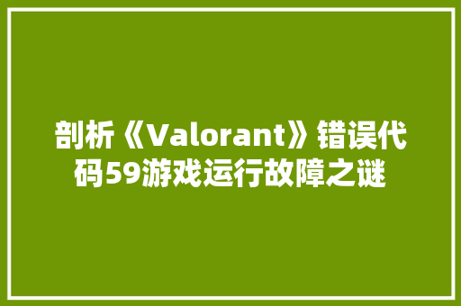 剖析《Valorant》错误代码59游戏运行故障之谜