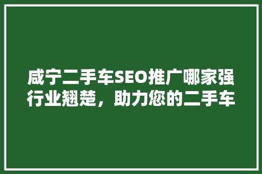 咸宁二手车SEO推广哪家强行业翘楚，助力您的二手车生意腾飞