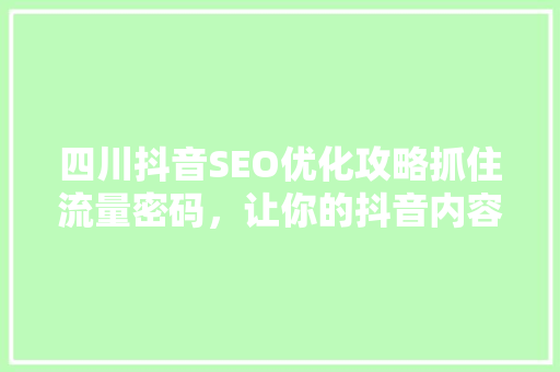 四川抖音SEO优化攻略抓住流量密码，让你的抖音内容脱颖而出