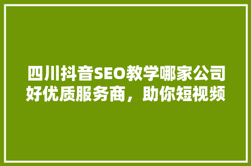 四川抖音SEO教学哪家公司好优质服务商，助你短视频营销一臂之力