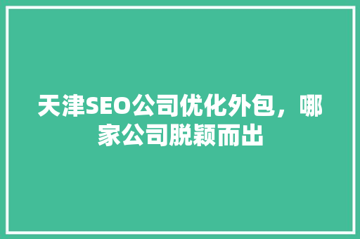 天津SEO公司优化外包，哪家公司脱颖而出