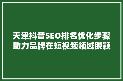 天津抖音SEO排名优化步骤助力品牌在短视频领域脱颖而出