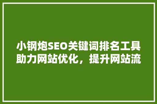 小钢炮SEO关键词排名工具助力网站优化，提升网站流量与转化率