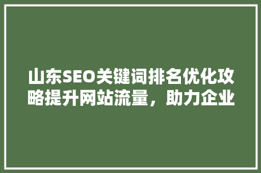 山东SEO关键词排名优化攻略提升网站流量，助力企业腾飞