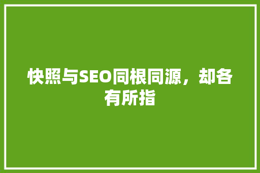 快照与SEO同根同源，却各有所指