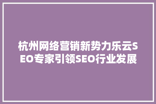 杭州网络营销新势力乐云SEO专家引领SEO行业发展新篇章  第1张