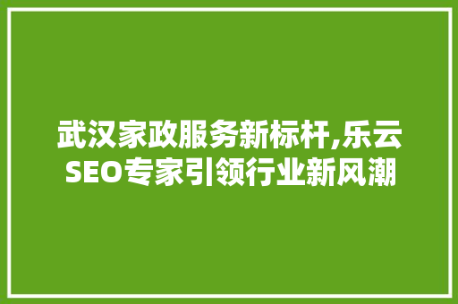 武汉家政服务新标杆,乐云SEO专家引领行业新风潮  第1张