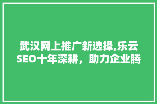 武汉网上推广新选择,乐云SEO十年深耕，助力企业腾飞