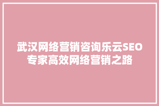 武汉网络营销咨询乐云SEO专家高效网络营销之路